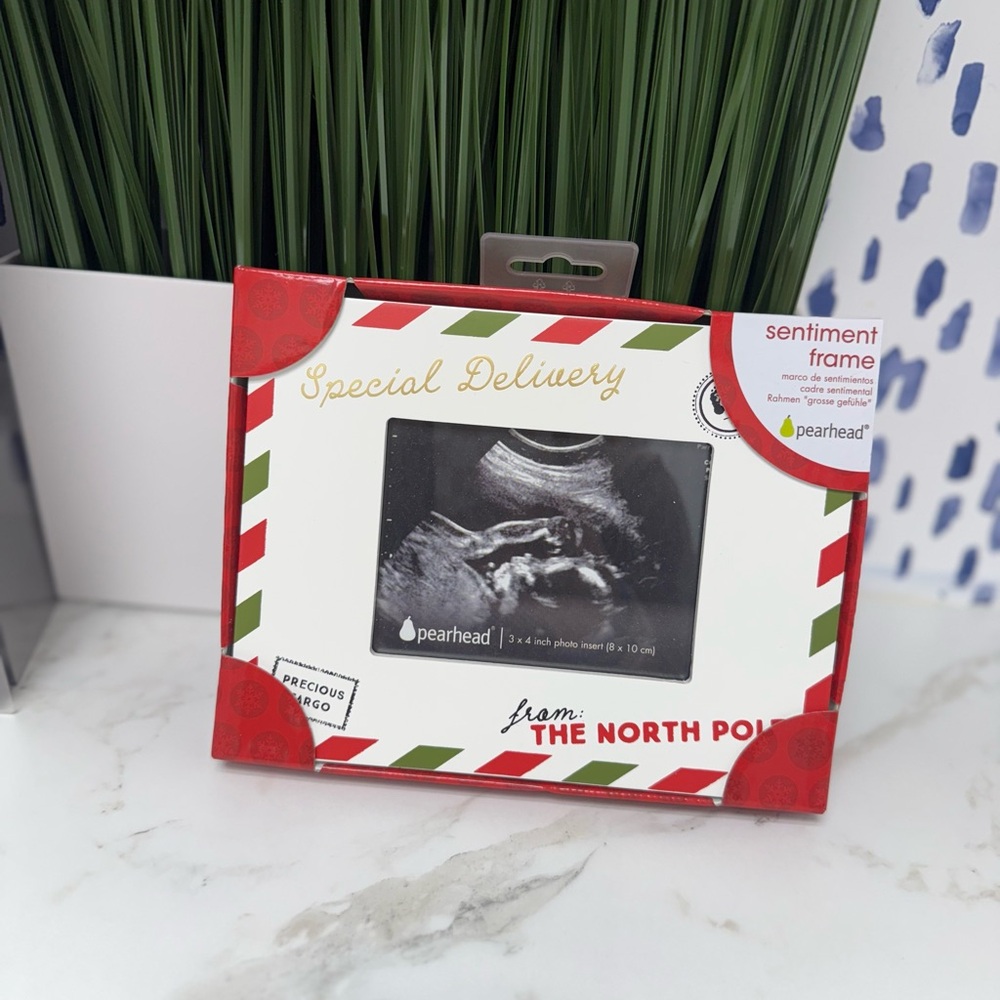 Special Delivery from the North Pole - Baby Ultrasound Frame (NEW)